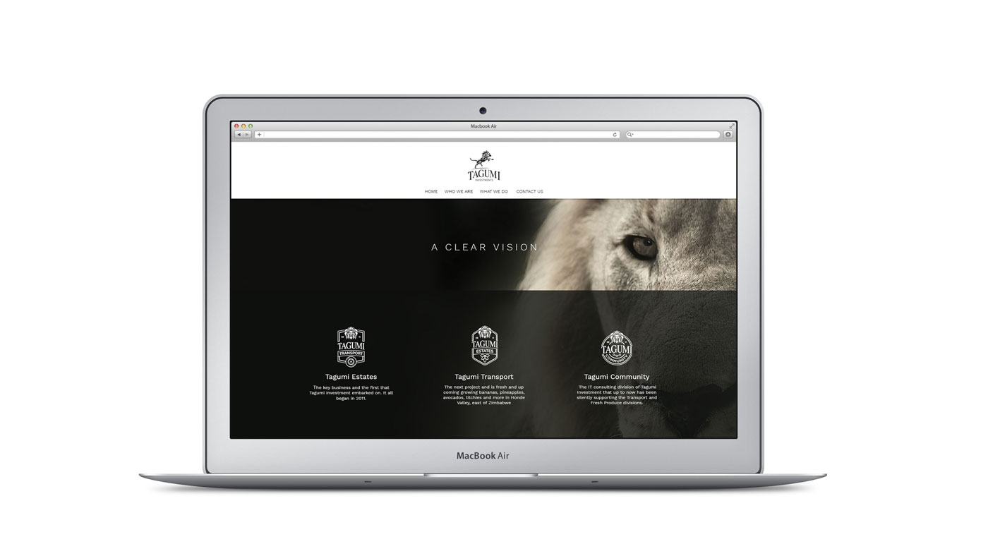 Tagumi fintech branding website laptop