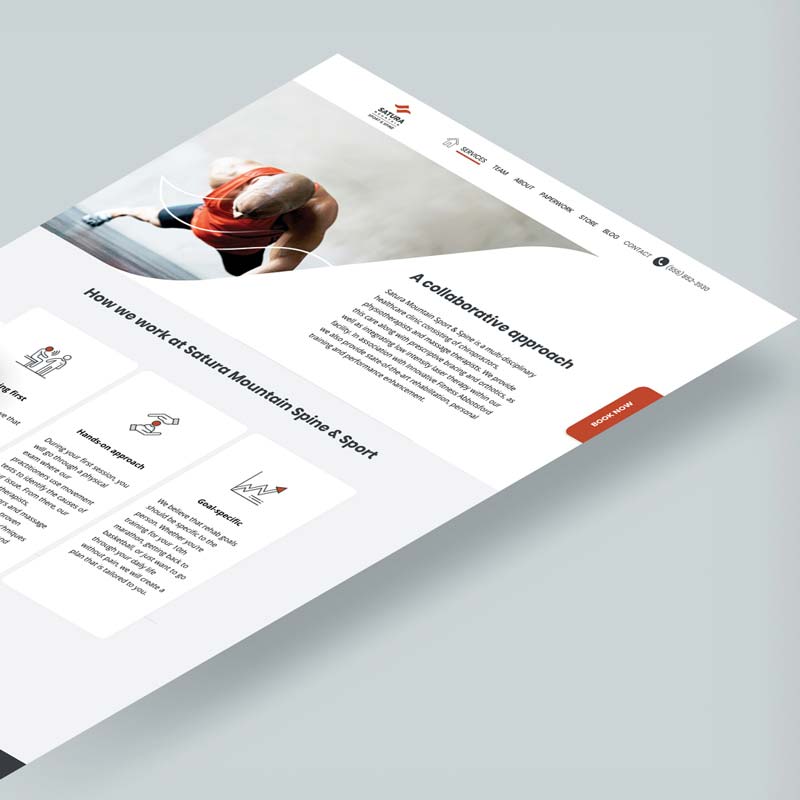 chiropractor brand design website inner page design example