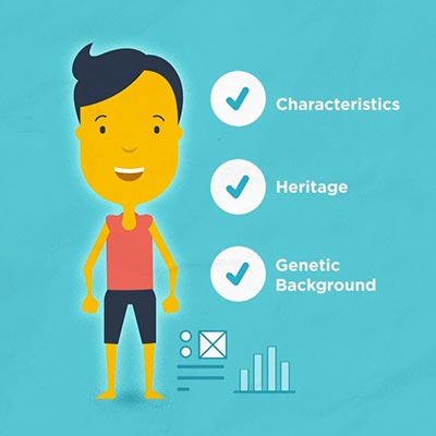Sunflower Fund Stem Cell Disease Video Thumbnail Illustration